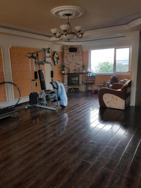 Homestay on Klenovaya 11